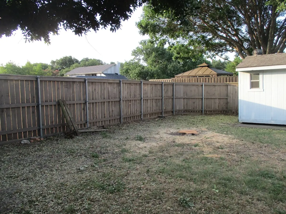 Cleared yard after professional tree removal in James Creek